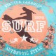 SURF - Coussin 30x30 cm bleu turqoise imprimé motifs surf
