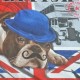 BRITISH – Housse de couette London bulldog 220x240 cm lit 2 personnes