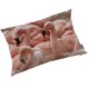 FLAMANT ROSE - Coussin 40x50 cm - Imprimé Oiseaux Exotique