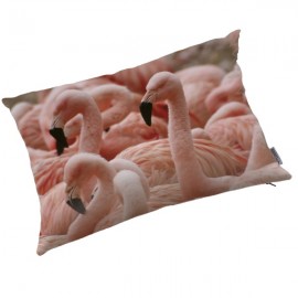 FLAMANT ROSE - Coussin 40 x 50 cm - Imprimé Oiseaux Exotique