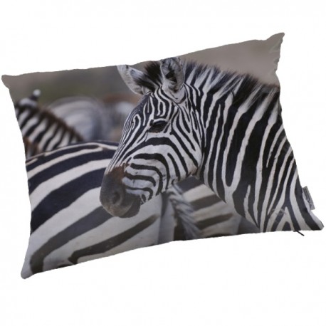 ZEBRA - Coussin 40x50 cm - Imprimé Ethnique - Coussin Zèbre