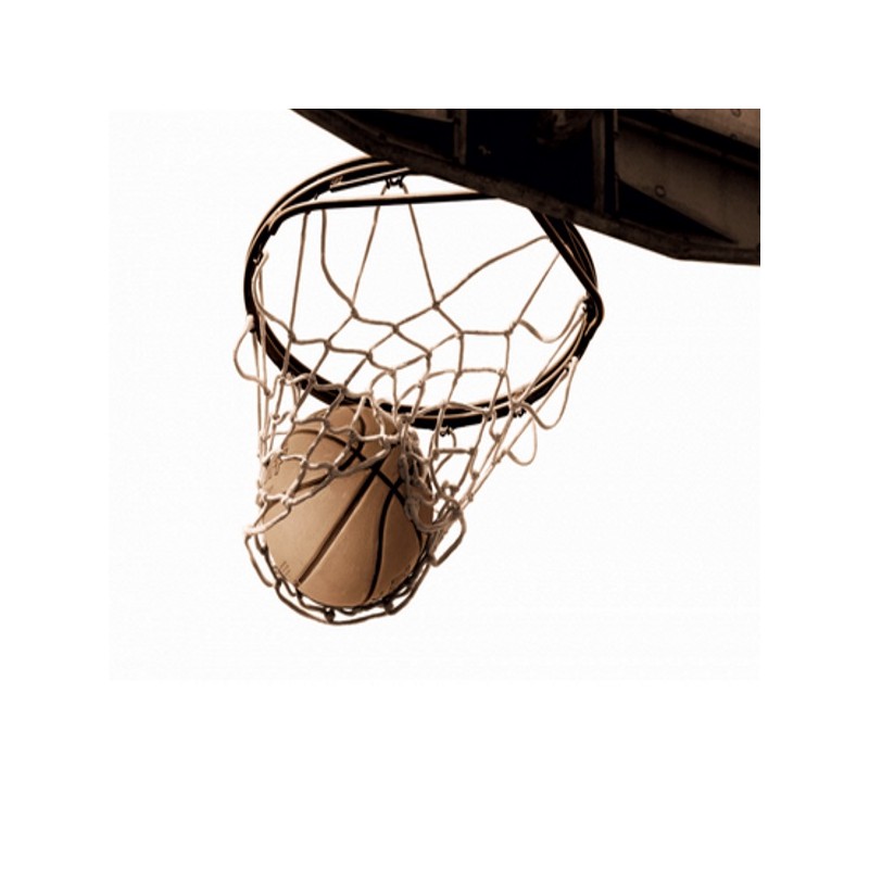 BASKETBALL - Lampe Bureau 40 cm - Décor Panier de Basket - Kolorados