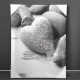 GALETS - Toile Imprimée Zen - Cadre en bois 30 x 40 cm