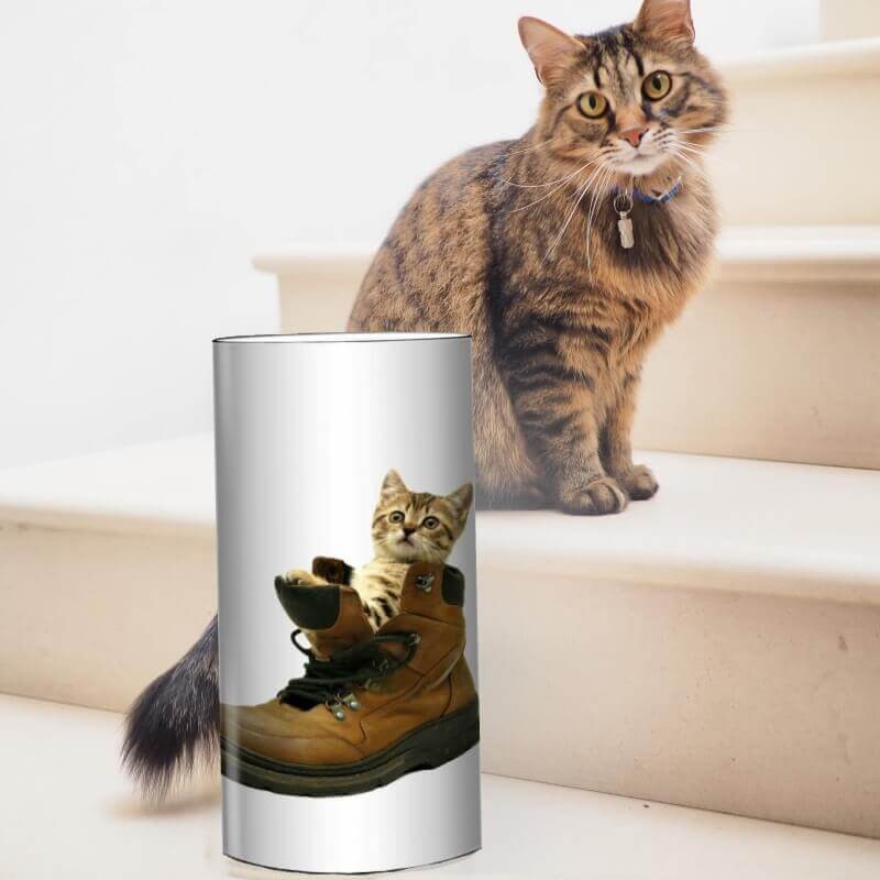 Ricci Lampe De Bureau Motif Chaton Luminaire Animal Kolorados