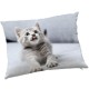 MEYLAN - Coussin 40 x 50 cm - Imprimé Animal - Chaton