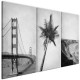Tableaux USA - Golden Gate - Palmier - 3 Cadres