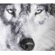 WOLFI coussin tête de loup 40*40 cm blanc gris noir